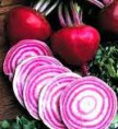 Remolacha Bicolor CHIOGGIA. 100 Semillas
